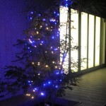 DSCF0656-1
