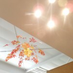 DSCF1339