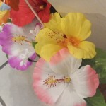 DSCF2333