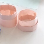 DSCF2520-1-1