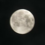 DSCF0935-1