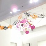 DSCF2244