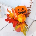 DSCF2256