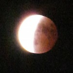DSCF2501-1