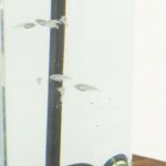 DSCF3726