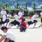 IMGP3311-1