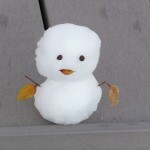 DSCF2374